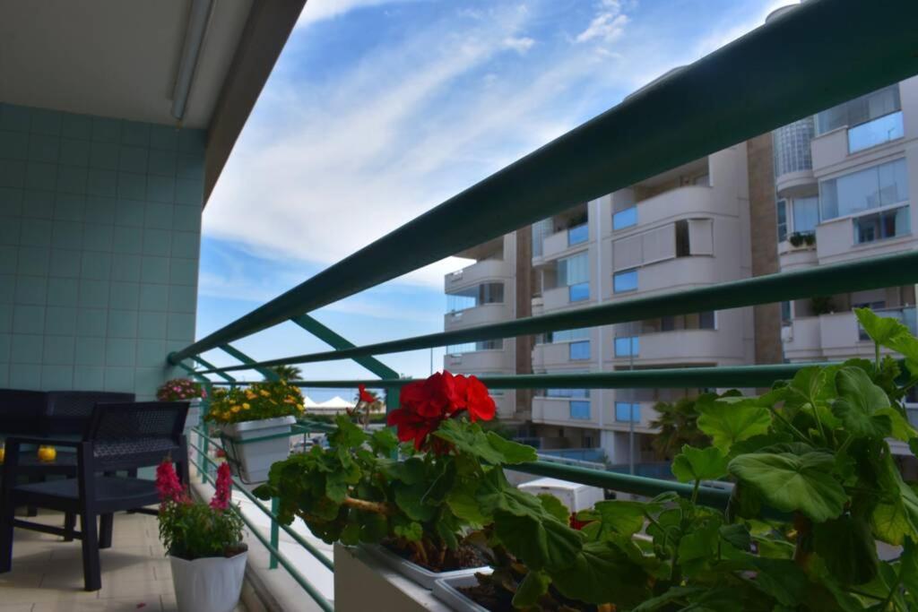 Donna Teresa Accomodation - Holiday House โมโนโปลี ภายนอก รูปภาพ